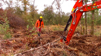 Mag 10 juin 2023 - CFBL (avant "Euroforest 2023" - Volume 1)